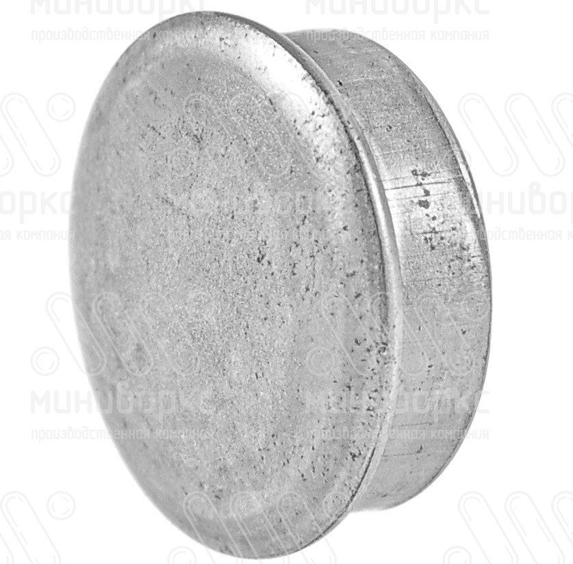 Заглушки для круглой трубы 32 – 110219467F | картинка 2