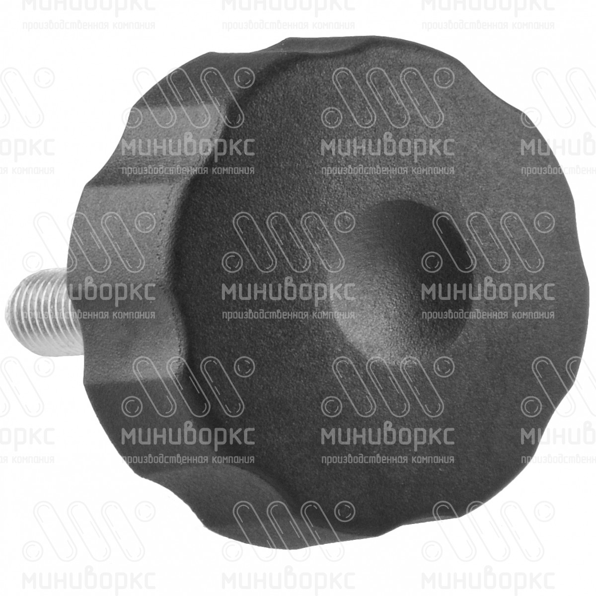Фиксатор пластиковый с рукояткой m6x30 42 – Ф42М6-30ЧС | картинка 3